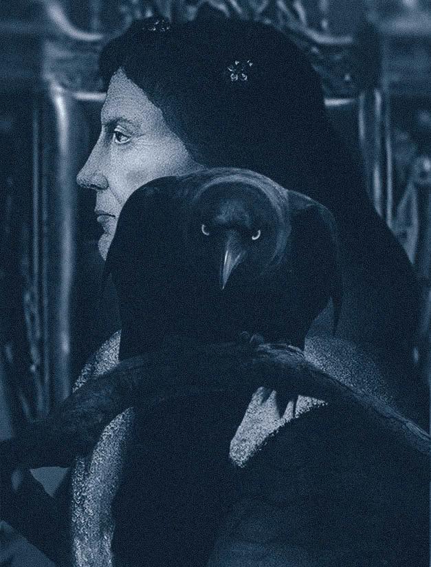 Giới thiệu thương hiệu